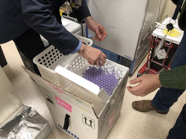 COVID-19 vaccine arrives in Kings County as health officials begin planned vaccinations The first shipment of COVID-19 vaccine arrived Friday (Dec. 18) as Adventist Health officials transfer the vaccine to a freezer. Vaccinations will begin on frontline staff at the hospital next week.